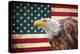 American Eagle-Kimberly Allen-Stretched Canvas
