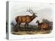 American Elk, 1846-John James Audubon-Premier Image Canvas