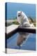 American Eskimo Poolside-Zandria Muench Beraldo-Premier Image Canvas