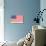 American Flag and Mottoes-null-Stretched Canvas displayed on a wall