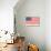 American Flag and Mottoes-null-Stretched Canvas displayed on a wall