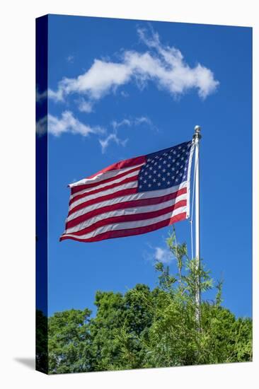 American flag blowing in the wind, USA-Lisa Engelbrecht-Premier Image Canvas