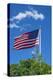 American flag blowing in the wind, USA-Lisa Engelbrecht-Premier Image Canvas