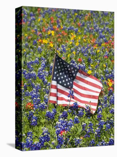 American Flag in Field of Blue Bonnets, Paintbrush, Texas Hill Country, USA-Darrell Gulin-Premier Image Canvas