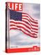 American Flag, July 6, 1942-Dmitri Kessel-Premier Image Canvas