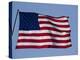 American Flag-null-Premier Image Canvas