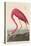 American Flamingo, 1838-John James Audubon-Premier Image Canvas