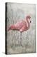 American Flamingo I-Tim O'toole-Stretched Canvas