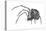 American House Spider (Parasteatoda Tepidariorum), Arachnids-Encyclopaedia Britannica-Stretched Canvas