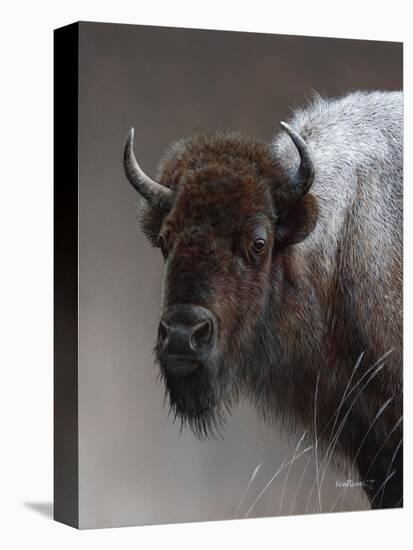 American Icon- Buffalo-Kevin Daniel-Stretched Canvas