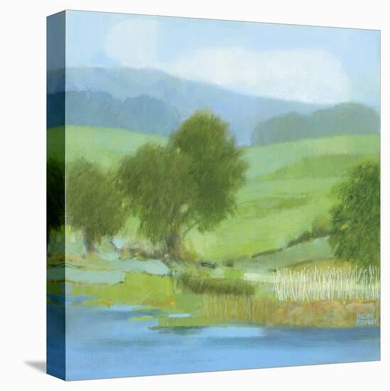 American Lands-Hazel Barker-Stretched Canvas