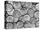 American "Liberty" Silver Dollars-Bettmann-Premier Image Canvas