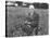 American Poet, Robert Frost Standing in Meadow During Visit to the Gloucester Area of England-Howard Sochurek-Premier Image Canvas