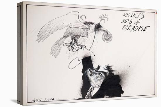 American Politics 9, Wallace's Bird of Paradise, 1980s (ink on paper)-Ralph Steadman-Premier Image Canvas