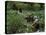 American Soldiers Wade Through Marshy Area During the Vietnam War-Paul Schutzer-Premier Image Canvas