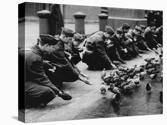 American Troops Feeding Pigeons-Associated Newspapers-Stretched Canvas