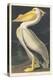 American White Pelican, 1836-John James Audubon-Premier Image Canvas