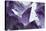 Amethyst Crystals-Lawrence Lawry-Premier Image Canvas