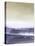 Amethyst Sea II-Sharon Gordon-Stretched Canvas