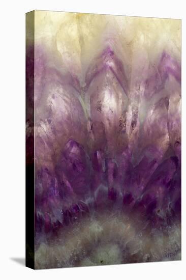 Amethyst-Darrell Gulin-Premier Image Canvas