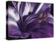 Amethyst-Barbara Keith-Premier Image Canvas