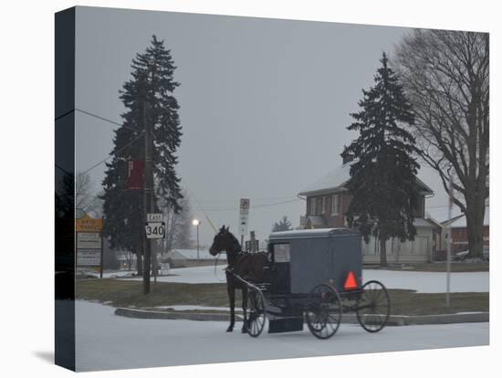 Amish Horse and Buggy, 2013-Anthony Butera-Premier Image Canvas