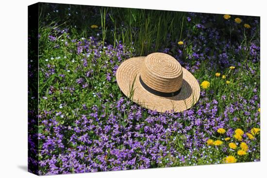 Amish Straw Hat at Spring Time-Elysium Multimedia-Premier Image Canvas