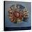 Ammonite,-Lee Campbell-Premier Image Canvas