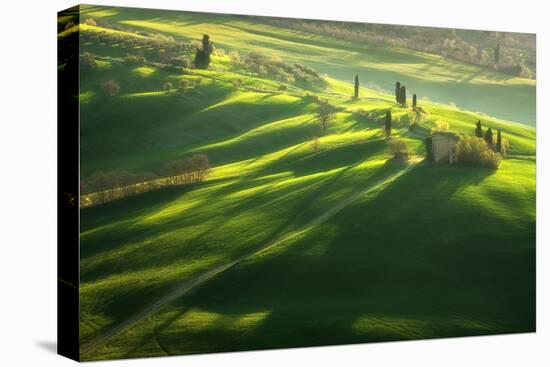 Among the Cypresses-Marcin Sobas-Premier Image Canvas