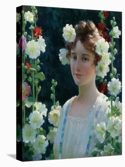 Among the Hollyhocks, 1904-Charles Courtney Curran-Premier Image Canvas
