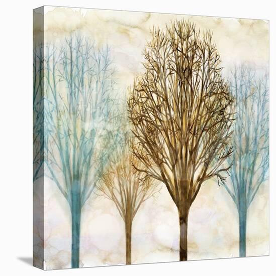 Among the Trees II-Chris Donovan-Stretched Canvas