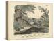 Amphibians and Fishes, C.1860-null-Premier Image Canvas