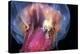 Amphipods Inside a Moon Jellyfish-Alexander Semenov-Premier Image Canvas