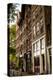 Amsterdam Neighborhood II-Erin Berzel-Premier Image Canvas