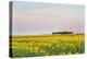 Amtrak Train Passes by Field of Sunflowers in Michigan, North Dakota, USA-Chuck Haney-Premier Image Canvas