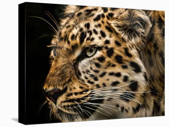 Amur Leopard Copy-Lori Hutchison-Premier Image Canvas