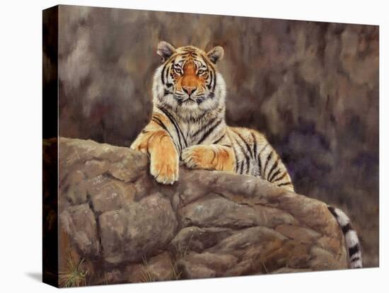 amur tiger on the rocks-David Stribbling-Stretched Canvas