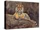 amur tiger on the rocks-David Stribbling-Stretched Canvas