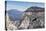 An adult California condor in flight on Angel's Landing Trail in Zion National Park, Utah, United S-Michael Nolan-Premier Image Canvas