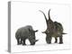 An Adult Diabloceratops Compared to a Modern Adult White Rhinoceros-Stocktrek Images-Premier Image Canvas