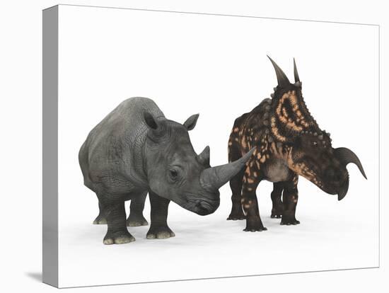 An Adult Einiosaurus Compared to a Modern Adult White Rhinoceros-Stocktrek Images-Premier Image Canvas