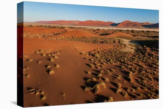 An aerial view of red sand dunes and vegetation in the Namib desert. Namibia.-Sergio Pitamitz-Premier Image Canvas