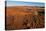 An aerial view of red sand dunes and vegetation in the Namib desert. Namibia.-Sergio Pitamitz-Premier Image Canvas