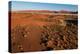 An aerial view of red sand dunes and vegetation in the Namib desert. Namibia.-Sergio Pitamitz-Premier Image Canvas