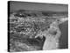 An Aerial View Showing the Fishing Village of Nazare-Bernard Hoffman-Premier Image Canvas