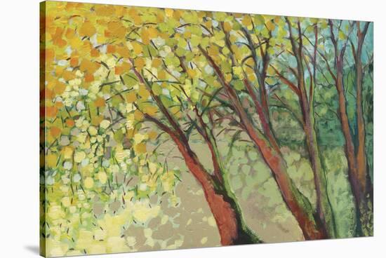 An Afternoon at the Park-Jennifer Lommers-Stretched Canvas