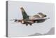 An Aggressor F-16C Fighting Falcon of the U.S. Air Force-Stocktrek Images-Premier Image Canvas