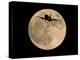 An Airliner is Silhouetted against a Full Moon-null-Premier Image Canvas