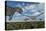 An Allosaurus Dinosaur Stalking a Herd of Diplodocus Dinosaurs-null-Stretched Canvas