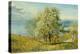 An Alpine Lake-John William Inchbold-Premier Image Canvas